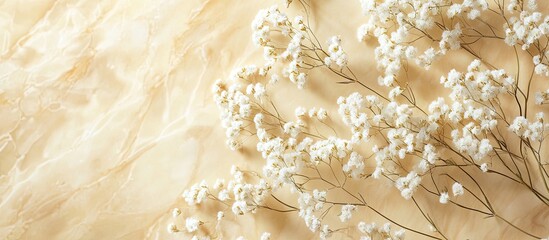 Leinwandbilder - Delicate white Gypsophila flower clusters arranged on a soft beige background creating a spring-inspired flat lay with ample copy space on the right.