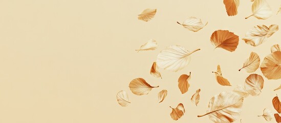 Aufkleber - Autumn leaves in shades of golden brown and cream scattered across a soft beige background creating a warm and inviting seasonal atmosphere.