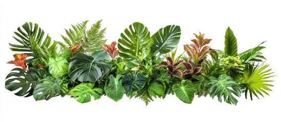 Aufkleber - Lush green foliage arrangement featuring various tropical leaves in shades of green with hints of red and yellow positioned centrally on a white background.