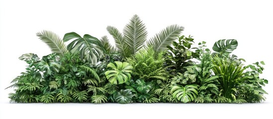 Aufkleber - Lush green tropical foliage arrangement featuring varying shades of green, positioned densely in the center on a white background.