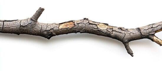 Aufkleber - Dry, cracked tree branch with textured bark positioned horizontally on a clean white background, showcasing natural earthy tones and detailed surface.