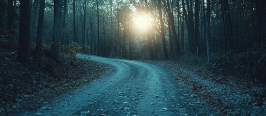 Aufkleber - Curved dirt road winding through dense trees at dawn with soft sunbeams breaking through in a serene autumn landscape featuring muted colors.