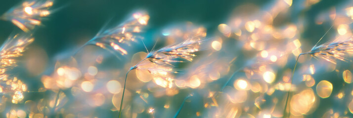 Fototapete - Natural organic bokeh shapes with flowing lines and soft shimmer create a serene effect