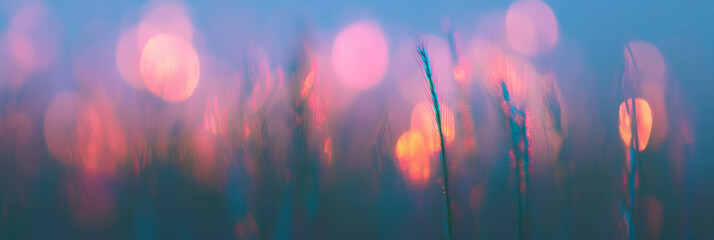 Fototapete - Soft elongated bokeh texture with subtle color gradient and diffused glow in a serene setting
