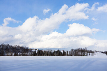 Wall Mural - Minimalist rural winter landscape with fields covered in snow and woods, and white clouds in bright blue sky seen during a sunny afternoon, Saint-Augustin-de-Desmaures, Quebec, Canada