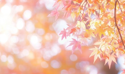 Naklejka na meble Autumn maple leaves on branches with bokeh background, ideal for fall themes