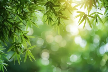 Wall Mural - sunlit bamboo leaves create a serene, green bokeh background, perfect for nature-themed designs.