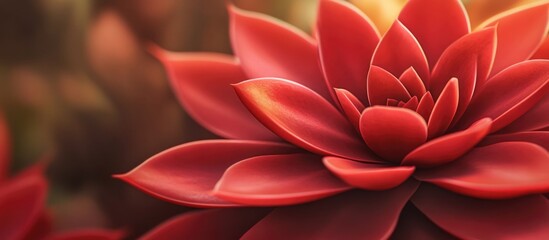 Wall Mural - vibrant red echeveria succulent plant showcasing detailed leaves in a soft, illuminated environment 