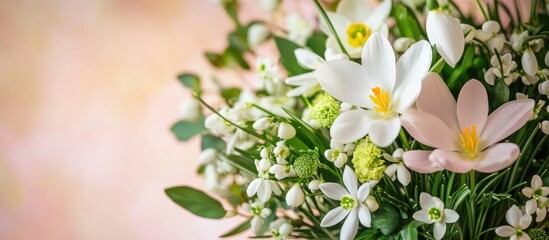 Wall Mural - spring floral arrangement featuring white crocus and snowdrops in a soft pastel background