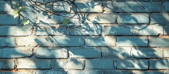 Canvas Print - Vintage brick wall texture with plant branch shadows in gray blue and green tones creating a weathered aged background