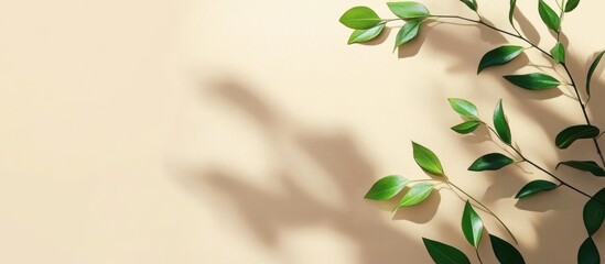 Wall Mural - Elegant template featuring green plant shadows on a soft beige background ideal for banner design, advertising, and various creative purposes.