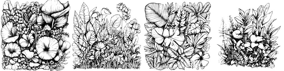 Wall Mural - Intricate botanical illustrations showcasing diverse plant life in a monochromatic style