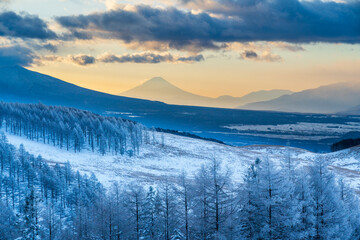 Wall Mural - 厳冬の霧ケ峰高原から霧氷と富士山