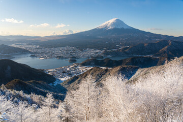 Wall Mural - 厳冬の新道峠から朝日に輝く霧氷の木々と富士山