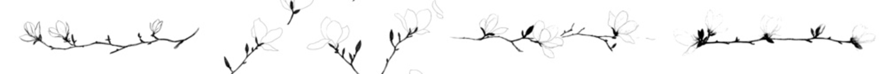 The magnolia flower and tree branch are depicted in a modern image with black lines