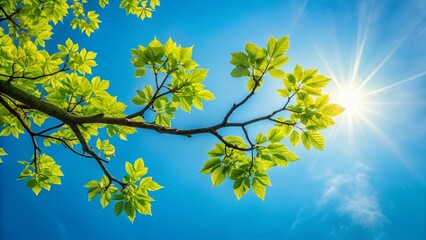 Wall Mural - Serene Blue Sky, Branch with Lush Green Leaves - Nature Stock Photo