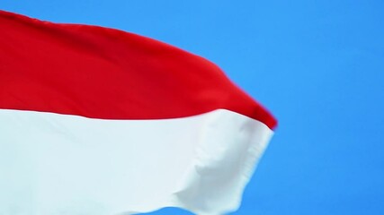 Wall Mural - Slow motion video of Indonesia flag waving on blue background