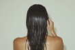 © Artificial South - Silky Smooth Hair: Close-up of a woman's back, showcasing her long, wet, and perfectly sleek black hair flowing down her shoulders. The image exudes a sense of calmness and tranquility.