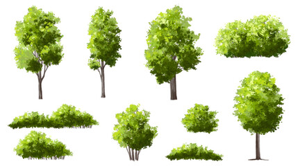 Wall Mural - vector watercolor green tree or forest side view isolated on white background for landscape and arch