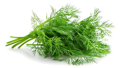 Wall Mural - Fresh dill isolated on white background.