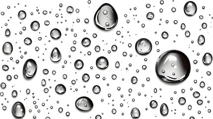 Fototapete - Isolated transparent water drops or droplets against a clean clear background  The water drops are glistening shiny and reflect the light creating a serene calming and tranquil scene