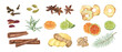 © Masha_tolk_art - Watercolor aromatic spices, seasoning, citrus fruits, dried apple slices, spruce branch clip art illustration. Fragrance textured plant Ingredient clip art for medicine, food, drink decor