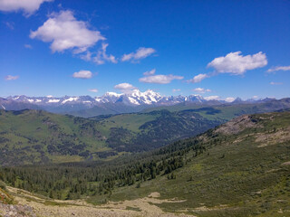 view of the gorge against the background of forest, mountains and blue sky with clouds