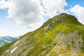 Wall Mural - landscape of fagaras mountains in summer. beautiful nature scenery of romania. steep slope, grassy h