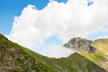 Wall Mural - landscape of fagaras mountains in summer. beautiful nature scenery of romania. steep slope, grassy h