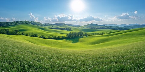 Wall Mural - Vibrant green rolling hills under a bright blue sky at midday with fluffy clouds