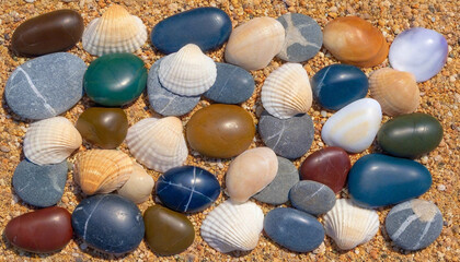 Wall Mural - A collage-style abstract artwork featuring beach pebbles, seashell shapes, and sunny skies, using earthy and vibrant tones.