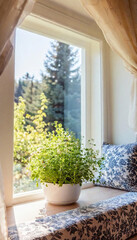 Canvas Print - Charming Window View: A cottage-style bay window with a cushioned seat, adorned with floral throw pillows, framing a view of a blooming garden, with pots of fresh herbs lined along the windowsill.