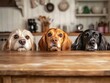 © ai_katrin - Three adorable dogs curiously peeking over the edge of a wooden kitchen table