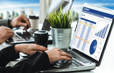 Wall Mural - spreadsheet document information financial startup concept. data and graphs in spreadsheet documents