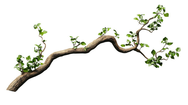 realistic 3d rendered branch with green leaves on transparent background