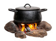 © PNGuin Studio - Black pot over a campfire with burning logs, isolated on transparent cutout background