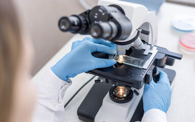 a laboratory female worker in blue gloves looks into a microscope and examines fragments of tissue. 