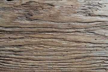 Rustic weathered barn wood background with termites holes. Vintage brown wooden barn oak with cracks and woodgrain. Old wood with nature texture and pattern. Weathered barn timber