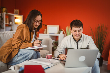 Wall Mural - two students man and woman use laptop for prepare exam at home