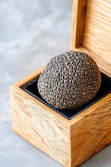 Close up of a fresh black truffle nestled on black velvet inside an open wooden box, showcasing its unique texture and earthy elegance