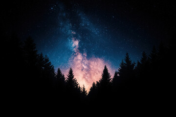 Wall Mural - A dark forest with a bright starry sky