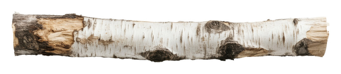 Wall Mural - Birch tree log close-up on a white background, natural texture and wood detail concept