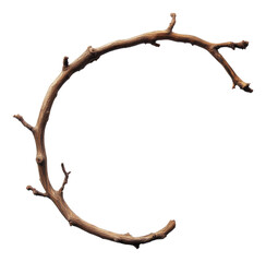 curved tree branch resembling letter c on transparent background, nature alphabet concept