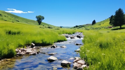 Wall Mural - meadow stream running water