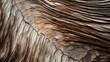 © PikePicture - nature abstract palm trees