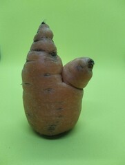 the isolated carrot is small and cute