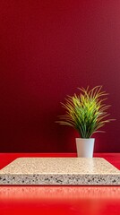 Wall Mural - Beige Granite Tabletop with Green Plant Against Red Background