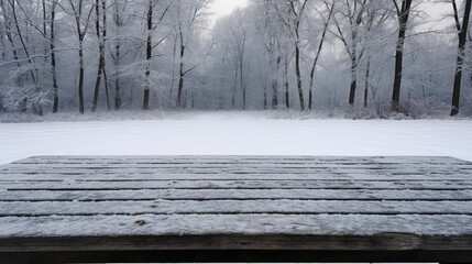 Poster - trees wooden table winter