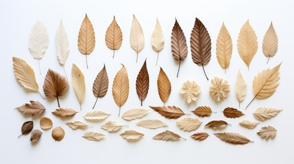 Poster - brown leaves flatlay