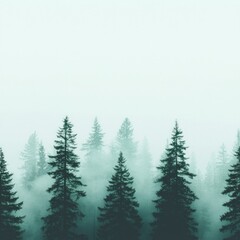 Wall Mural - Misty Mountain Forest with Teal and Green Pine Trees